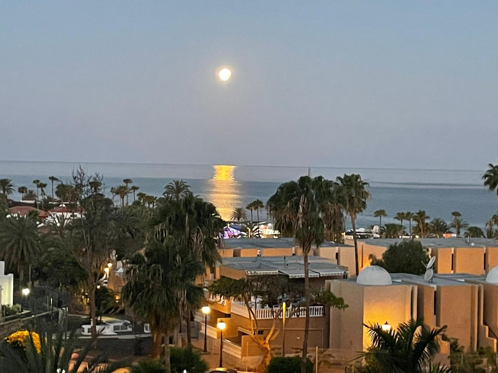 Pretty View Borinquen Playa De Las Americas Playa Fanabe Bilik gambar